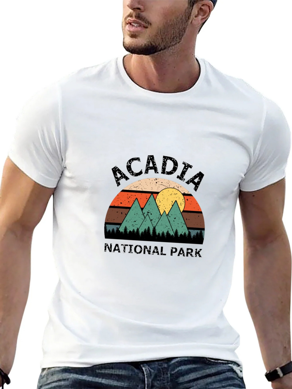 Acadia National Park Retro T-Shirt product image 4