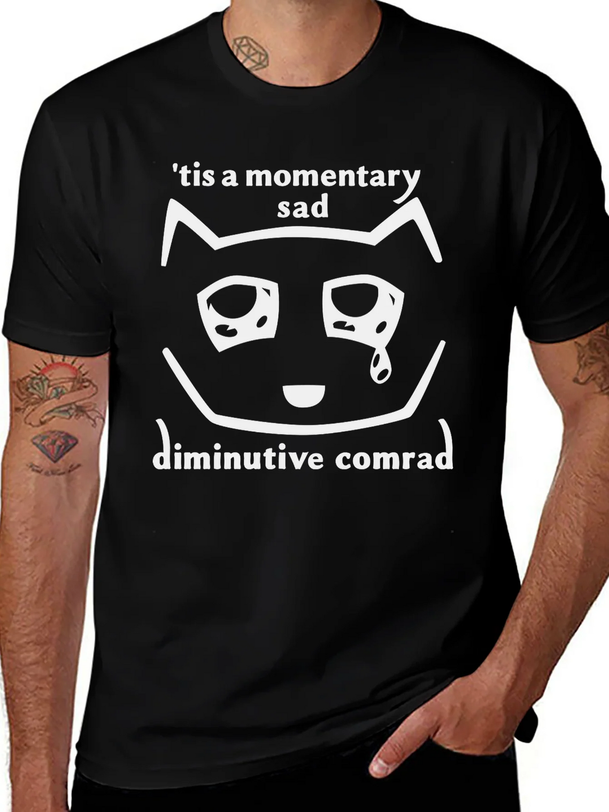 Momentary Sad Cat T-Shirt - Unisex Graphic Tee product image 1