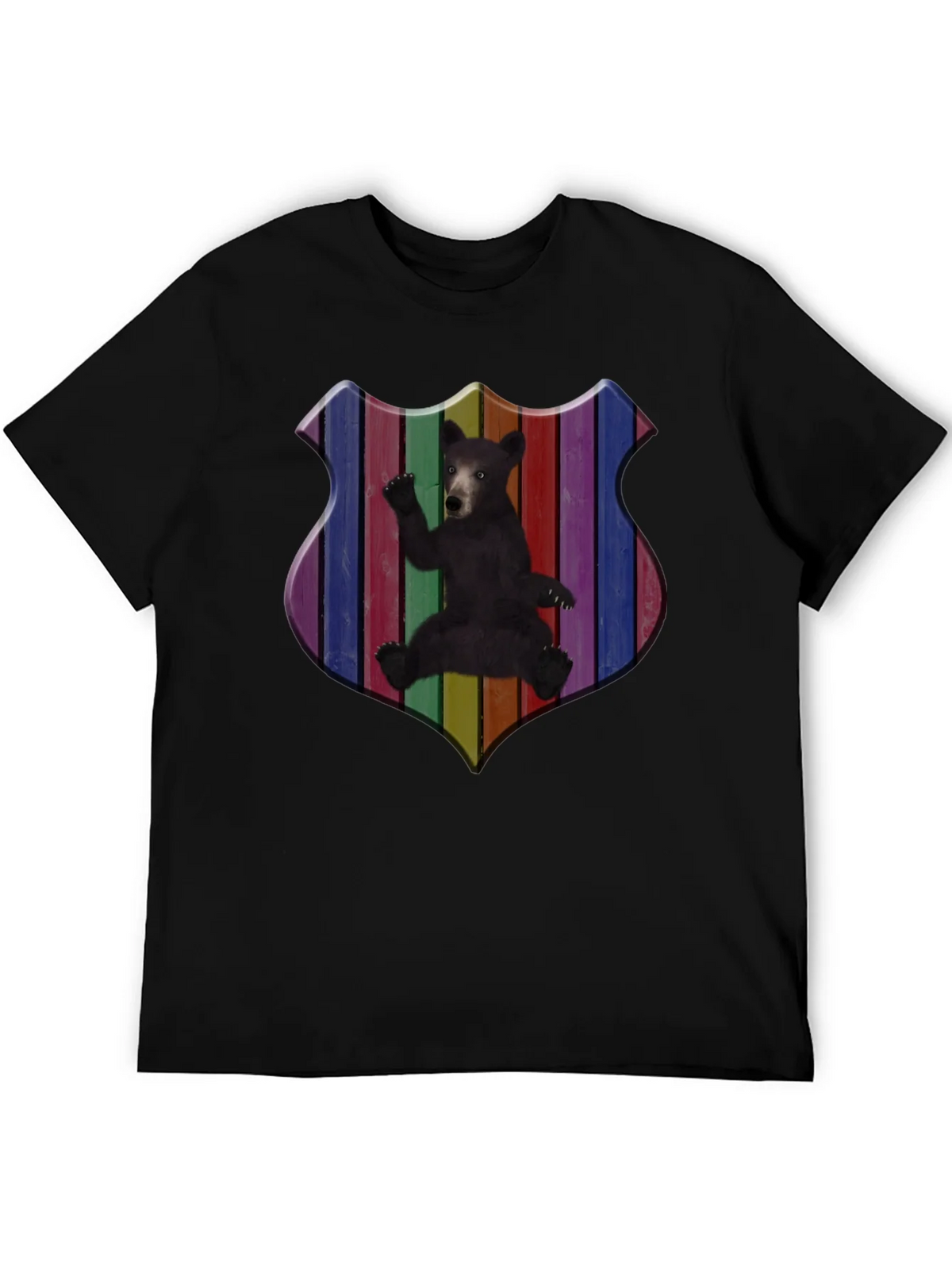 Rainbow Bear Shield Graphic T-Shirt product image 8