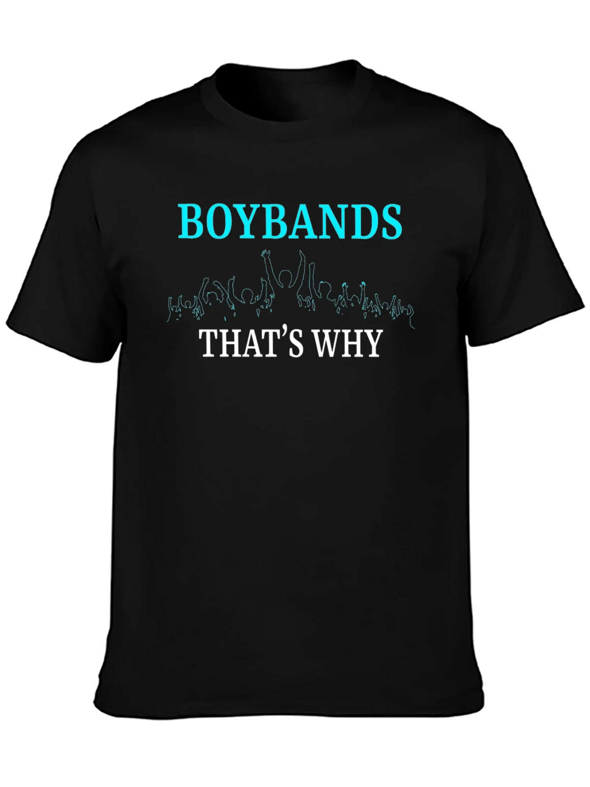 Boybands Thats Why Graphic T-Shirt product image 6