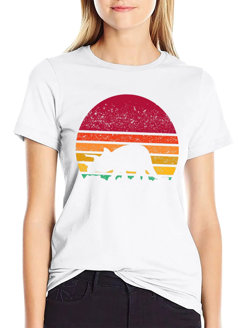 Retro Dinosaur Sunset Graphic T-Shirt product image 11